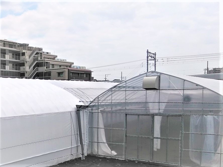 【カーテン】いちご用パイプハウス（153坪）|千葉県の施工実績