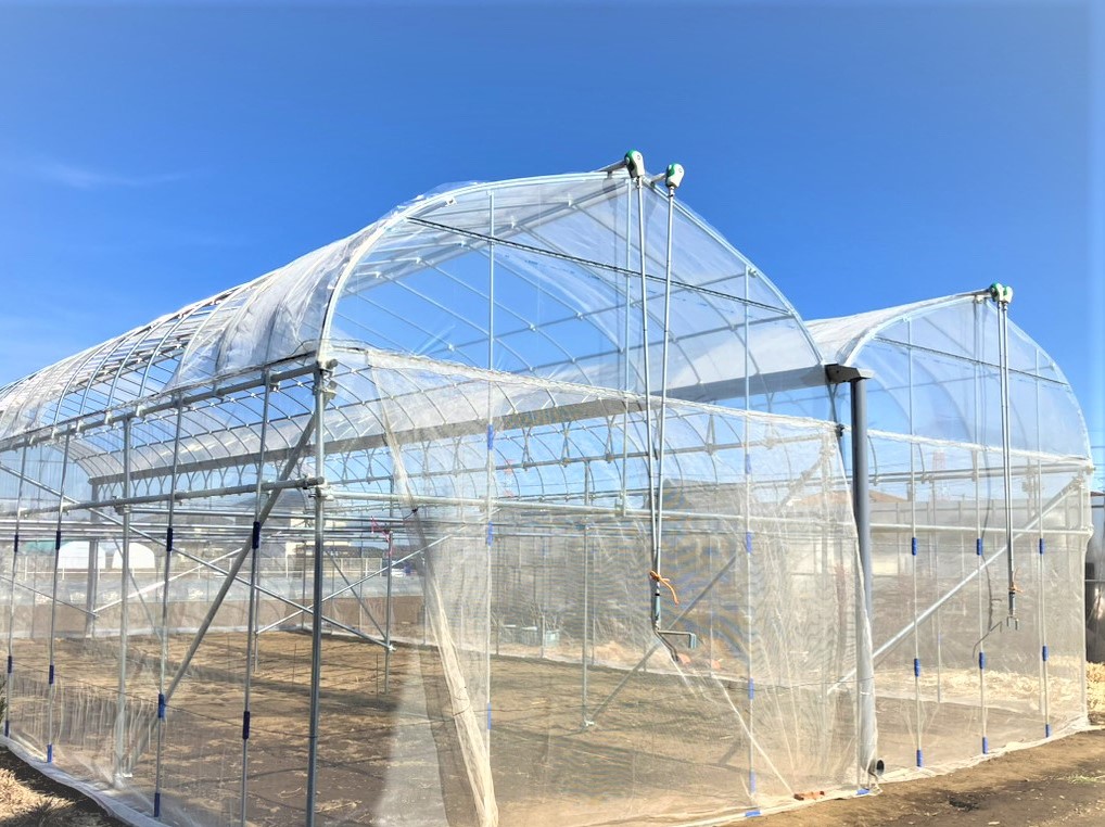 【2連棟】ぶどう棚雨よけハウス（47坪）|埼玉県の施工実績