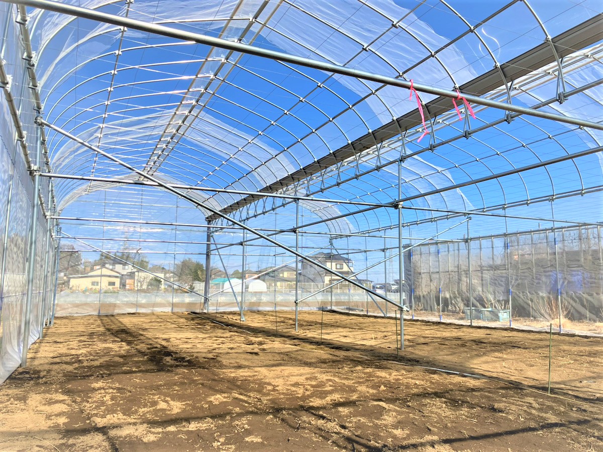 【2連棟】ぶどう棚雨よけハウス（47坪）|埼玉県の施工実績