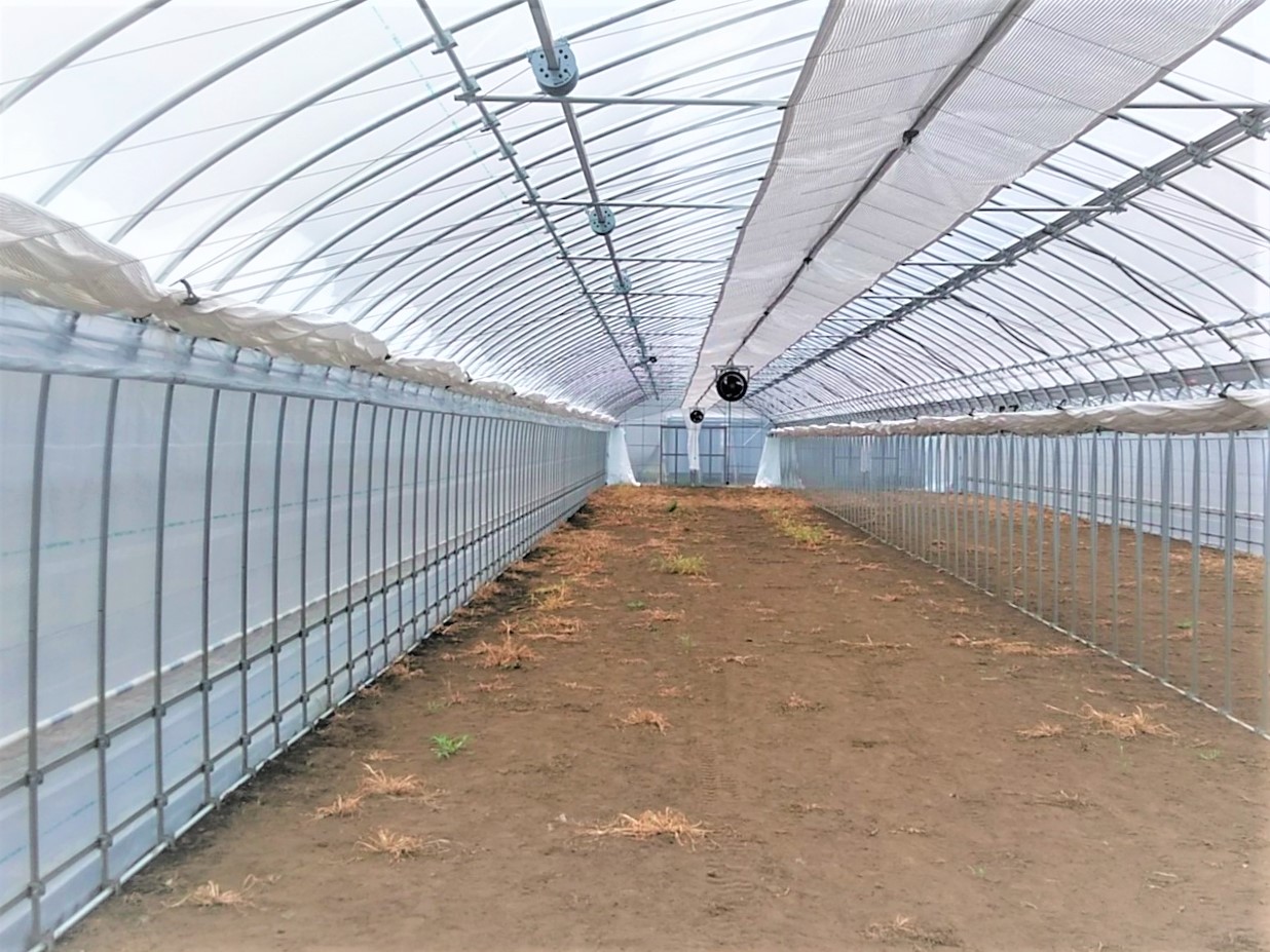 【カーテン】いちご用パイプハウス（153坪）|千葉県の施工実績