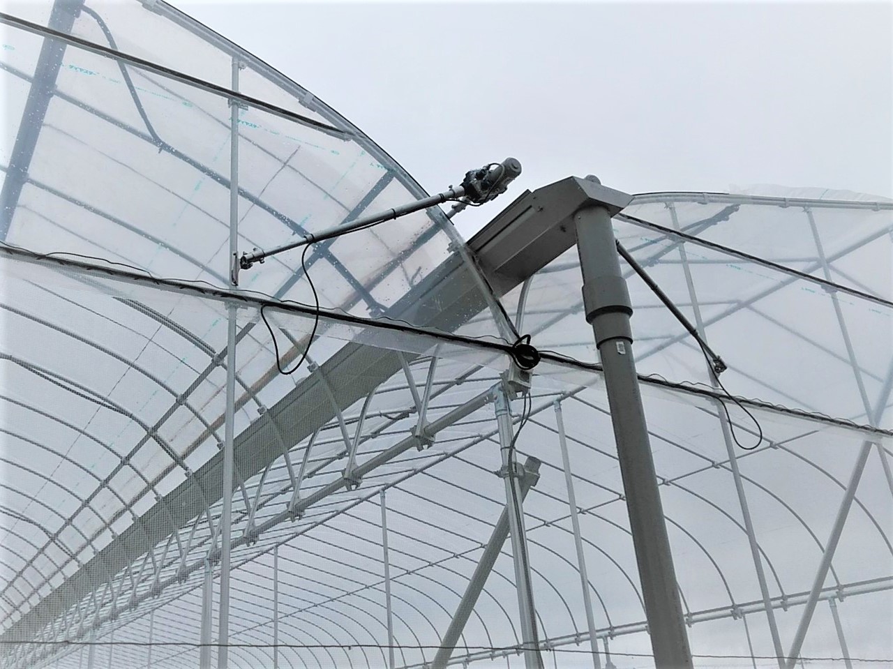 【ぶどう】棚雨除け一体型ハウス(393坪)|茨城県の施工実績