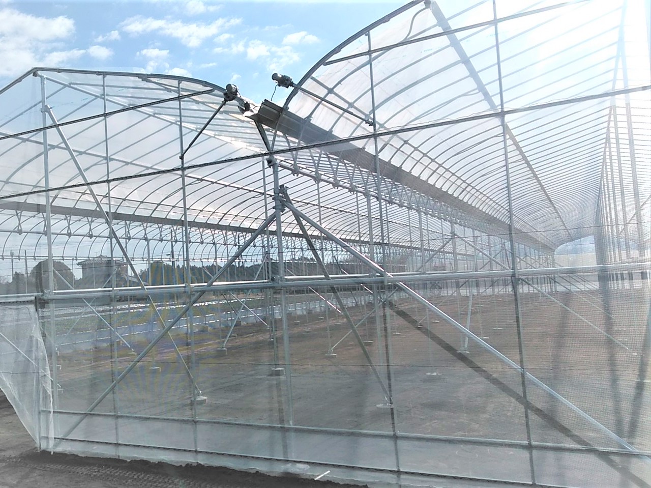 【ぶどう】棚雨除け一体型ハウス(393坪)|茨城県の施工実績