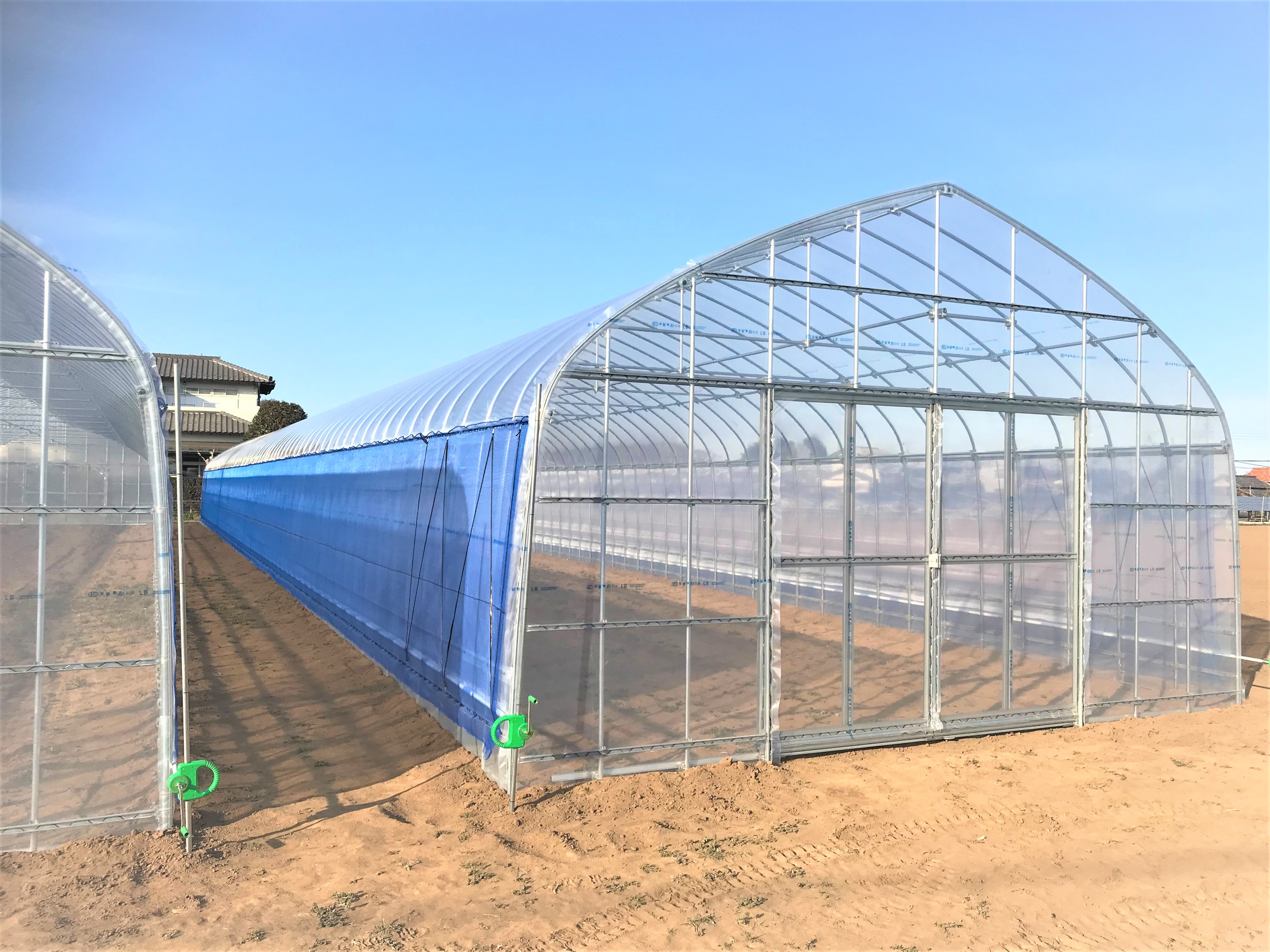 【水平補強】多品目栽培用ビニールハウス(115坪)|千葉県の施工実績