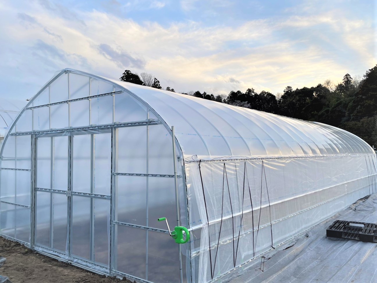 【妻換気】多肉植物用パイプハウス（15坪33坪）|千葉県の施工実績
