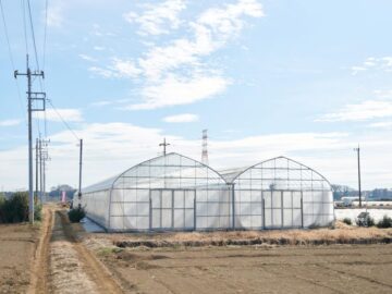 (株)共走|埼玉県の施工実績|【新規就農】苺栽培用パイプハウス（191坪）の画像