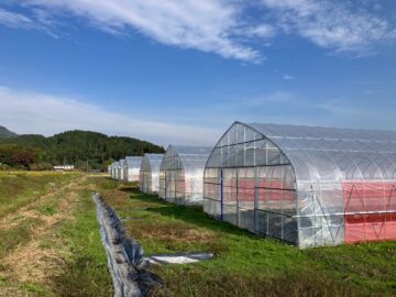 (株)共走|栃木県の施工実績|【新規就農】苺用パイプハウス（775坪）の画像