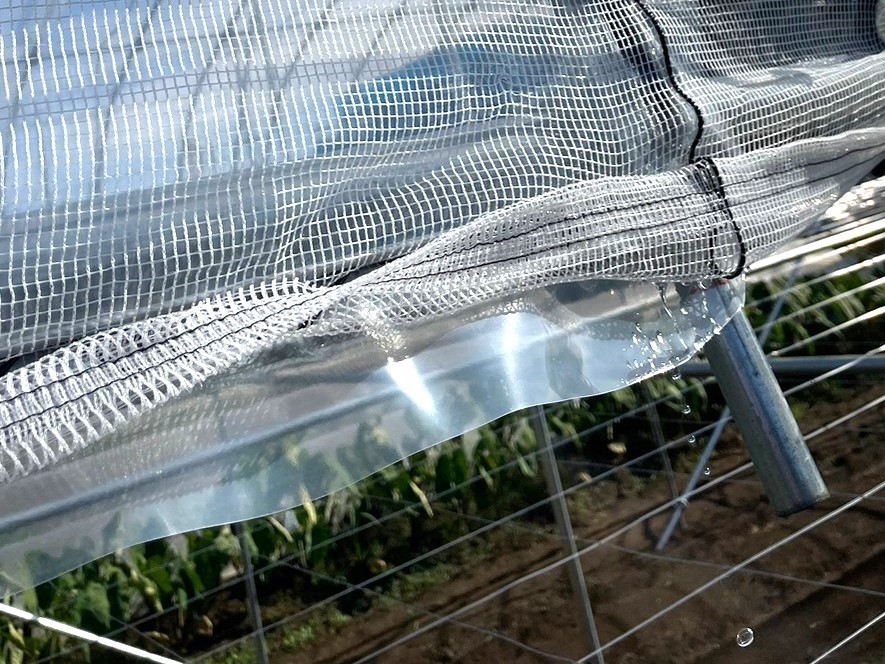 【ぶどう用】棚雨よけハウス（33坪）|千葉県の施工実績