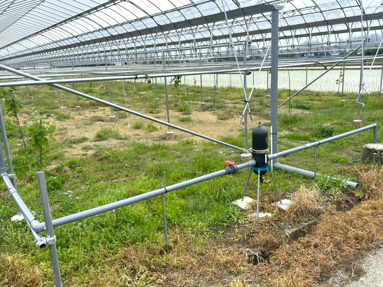 【ぶどう用】棚雨よけハウス（282坪）｜埼玉県の施工実績
