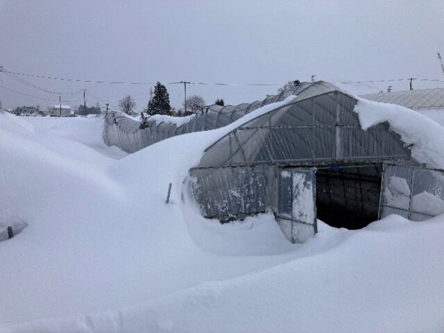 雪に負けないビニールハウスで会津の農業を力強くサポート!営業部菅野の奮闘記~Part1~