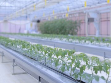 株式会社共走の農業経営支援/教育事業