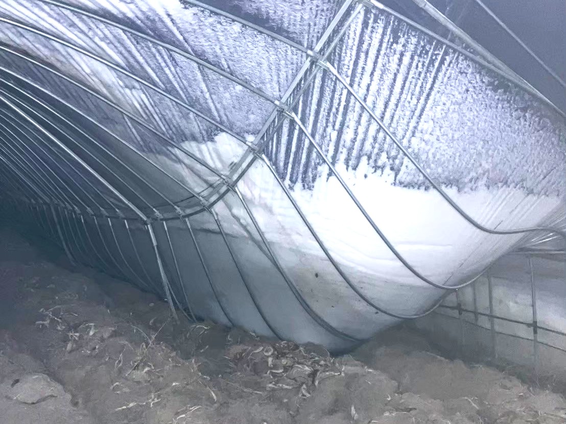 豪雪・台風・葉焼けに克つ!ビニールハウスハウス施工事例|福島県の施工