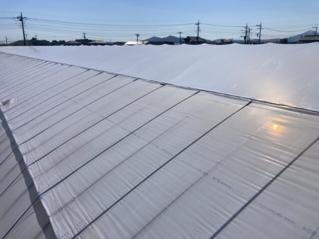 ビニールハウス屋根遮光剤塗布後の外側からの写真