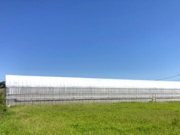 【施工事例】遮光剤塗布で、ハウス内の暑さ対策とコスト削減を実現の画像