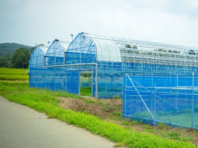 山梨県北杜市の果樹園施工