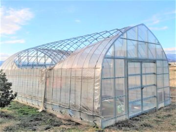 張替前のビニールハウスの写真